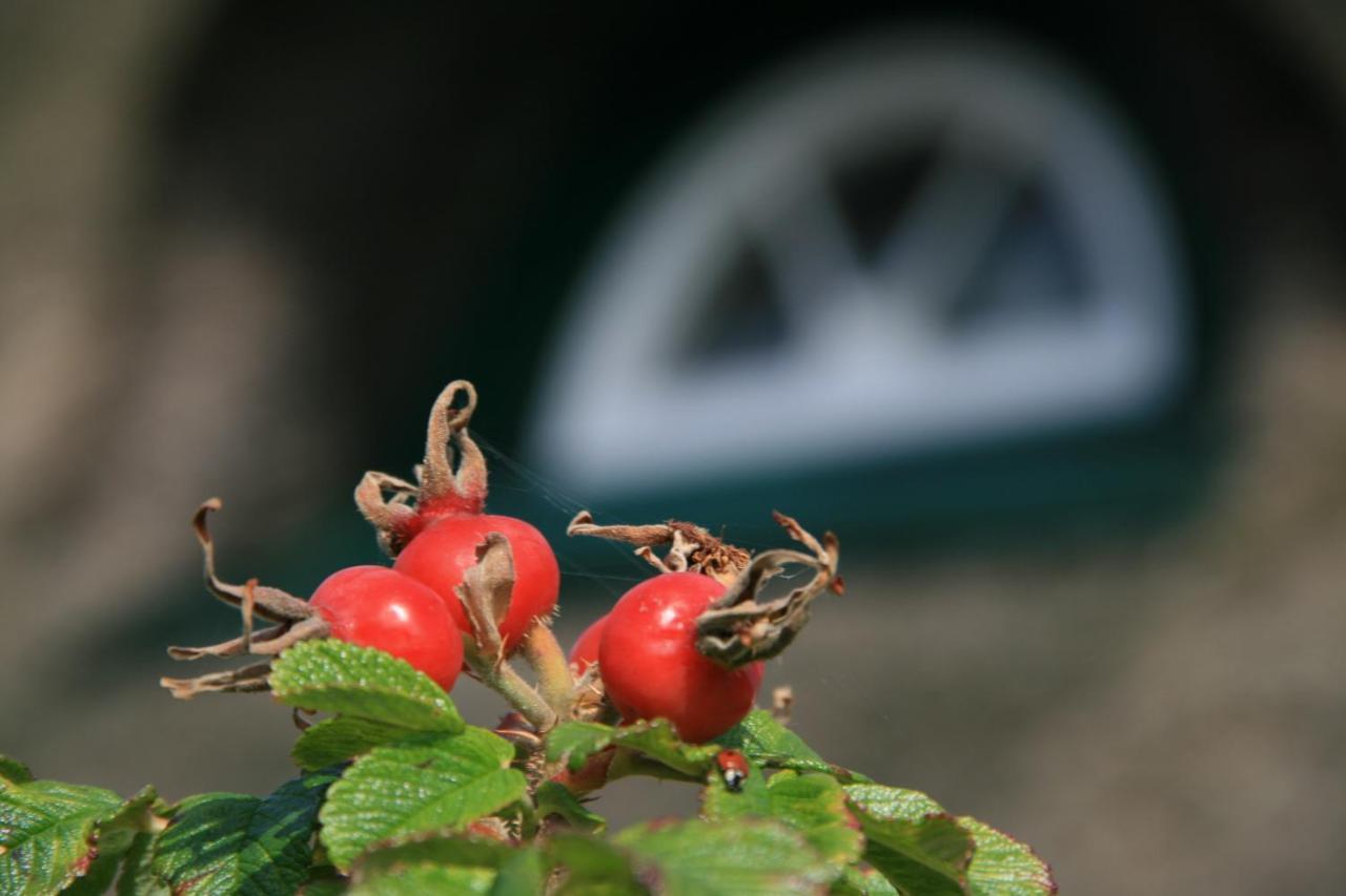 Appartamento Reetdach Friesenhof Suederende Westerland Esterno foto